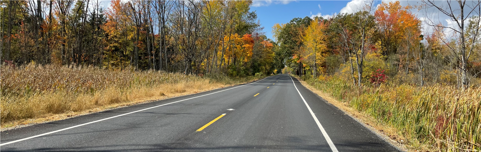 Fall Photo of S Avenue, Pavilion Township